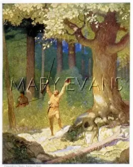 Deerslayer: DEERSLAYER IN THE FOREST