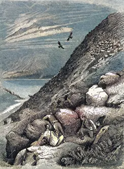 Argyllshire: Deerstalking above Loch Ettive, Argyllshire