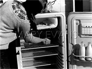 Prolong: DEFROSTING A FRIDGE
