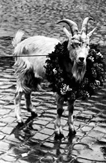 Bring: Deidesheim, 1934