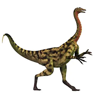Deinocheirus: Deinocheirus dinosaur