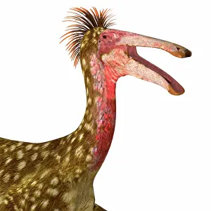 Deinocheirus: Deinocheirus head portrait
