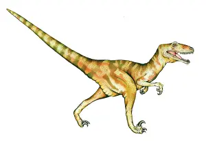 Konopelko: Deinonychus