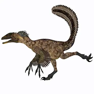Contour: Deinonychus dinosaur