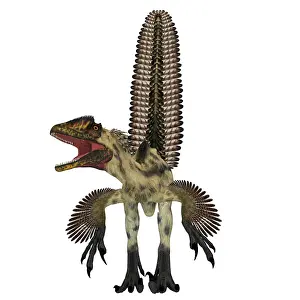 Dromaeosaurid: Deinonychus dinosaur, front view
