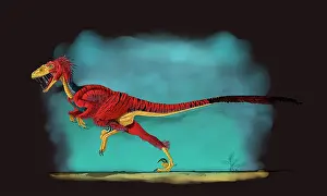 Contour: Deinonychus, a genus of carnivorous dromaeosaurid dinosaur