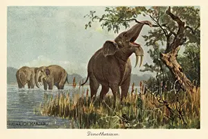 Tiere Der Urwelt: Deinotherium giganteum pulling down high foliage