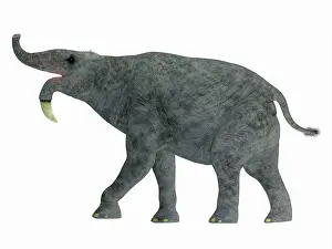 Odd Toed: Deinotherium mammal, side view