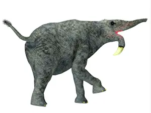 Pleistocene: Deinotherium mammal, white background