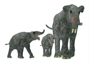 Odd Toed: Deinotherium with offspring