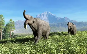Odd Toed: Deinotherium traverse the rolling plains of what is today ?