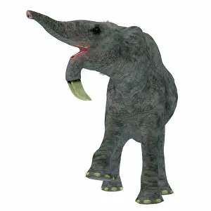 Odd Toed: Deinotherium on white background