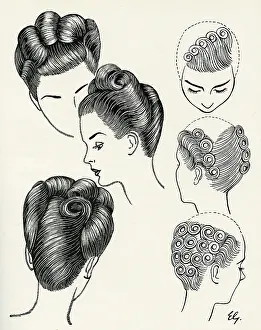 Updo: D'Elegance Hairstyle Diagram with Waves and Curls