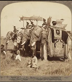Maharajah: DELHI DURBAR ELEPHANTS