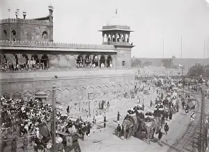 Durbar: Delhi Durbar probably 1911, Elephants in procession
