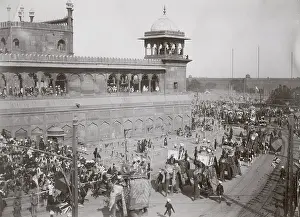 Though: Delhi Durbar, probably 1911, Elephants in procession