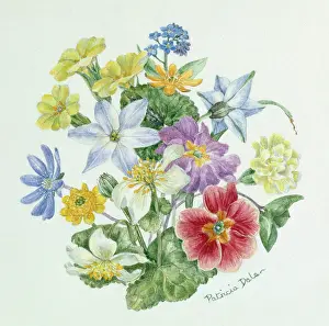 Celandine: The Delight of Spring ? flower design