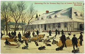 Manitoba: DELIVERING FUR