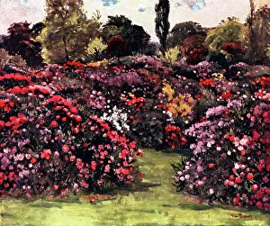 Pinks: The Dell, Dulwich