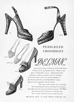 Slingbacks: DELMAN CROCODILE SHOES