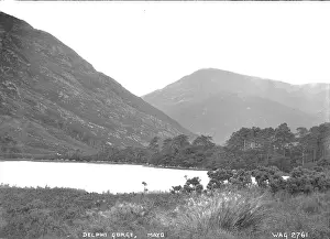 Delphi: Delphi Gorge, Mayo