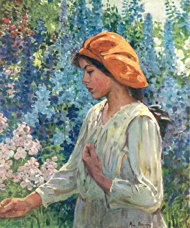 Delphiniums: Delphiniums