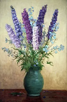 Carruthers: Delphiniums