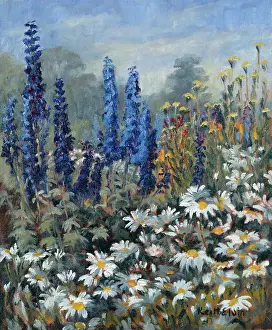 Delphiniums: Delphiniums and Daisies