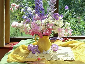 Delphiniums: Delphiniums and Sweet Peas