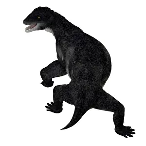 Synapsid: Delphinognathus prehistoric synapsid, rear view