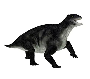 Synapsid: Delphinognathus prehistoric synapsid, side view