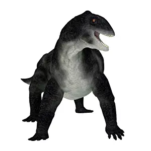 Synapsid: Delphinognathus prehistoric synapsid, front view