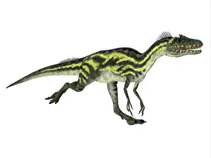 Limbs: Deltadromeus dinosaur running, white background