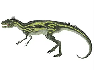 Agilis: Deltadromeus dinosaur, white background