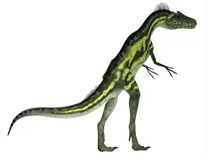 Limbs: Deltadromeus dinosaur, white background