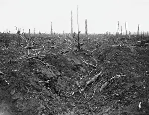 Delville: Delville Wood 1916