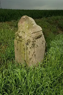 Hebuterne: Demarcation Stone - Somme Battlefield
