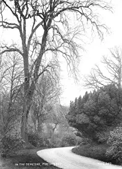 In the Demesne, Portaferry