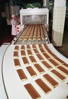 Biscuits: Demetra public company