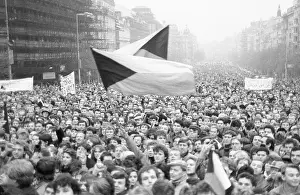 Toppled: Demonstration - general strike - Wenceslas Square