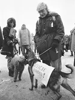 Letna: Demonstration - Letna - dog - pet