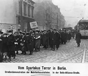 Radical: Demonstration against the Spartacists in Berlin, 1919