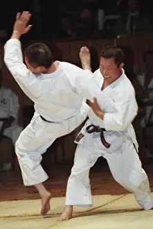 Khamelyanin: Demonstration of traditional karate styles