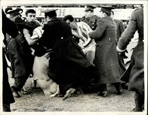 Flared: Demonstrations