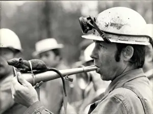 Sewers: Demonstrations