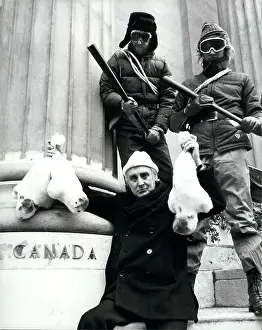 Vigilantes: Demonstrations