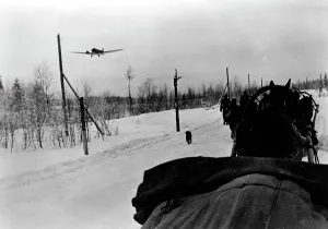 Heights: Demyansk Pocket, 1942