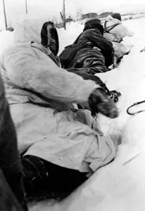 Heights: Demyansk Pocket, 1942