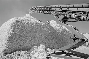 Acceptance: Denau Cotton Procurement Centre