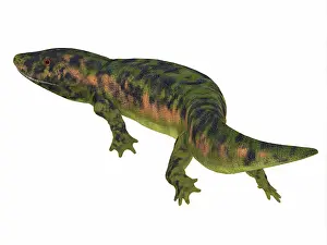 Carboniferous: Dendrerpeton on white background